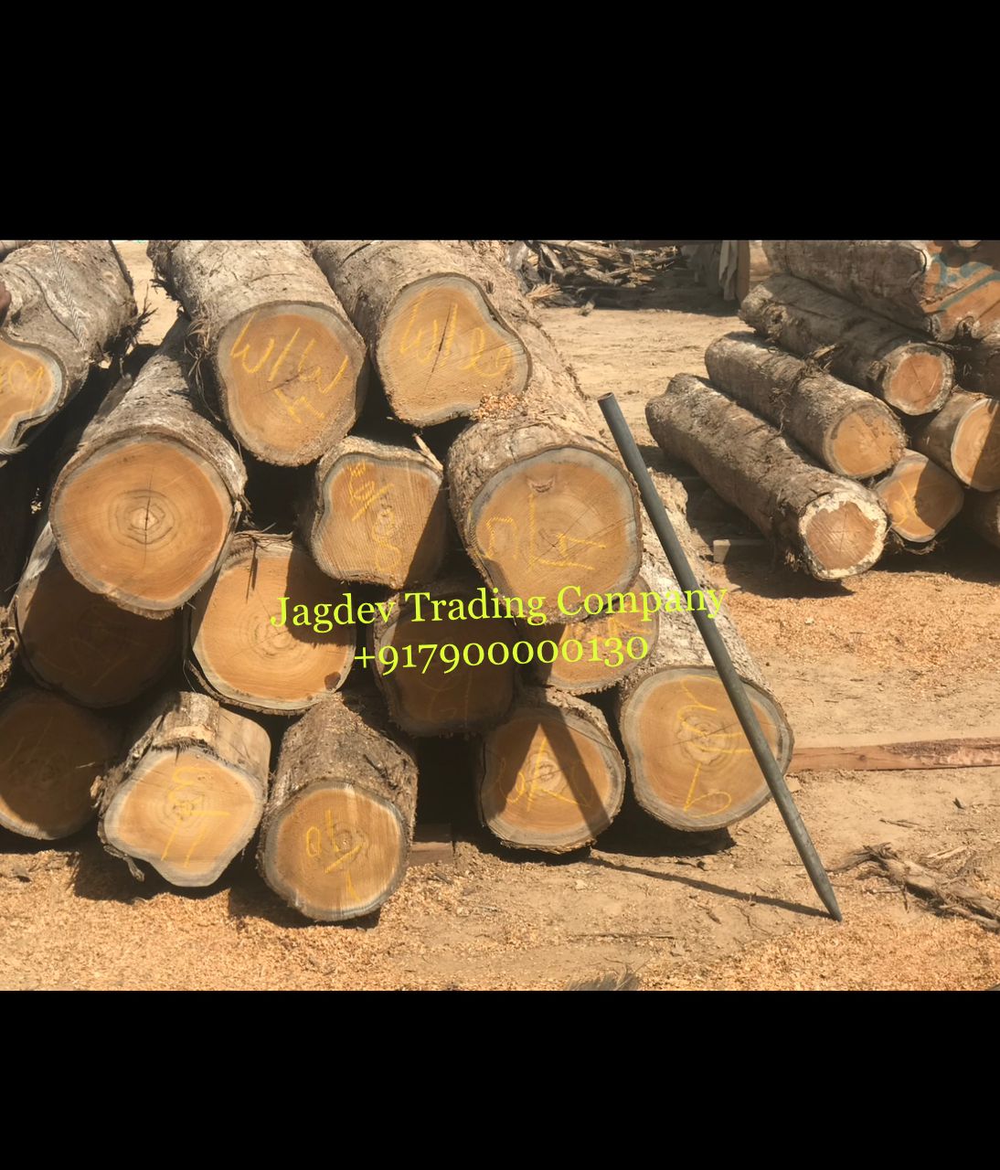 Jagdev Trading Company