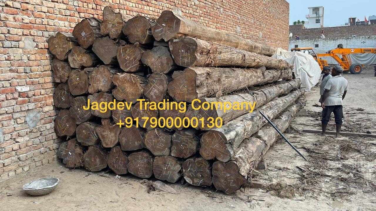 Jagdev Trading Company
