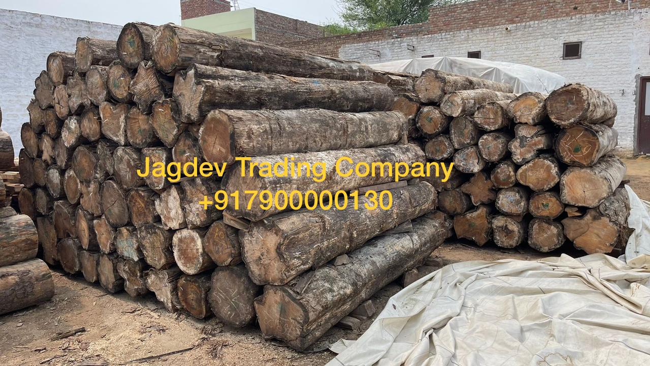 Jagdev Trading Company