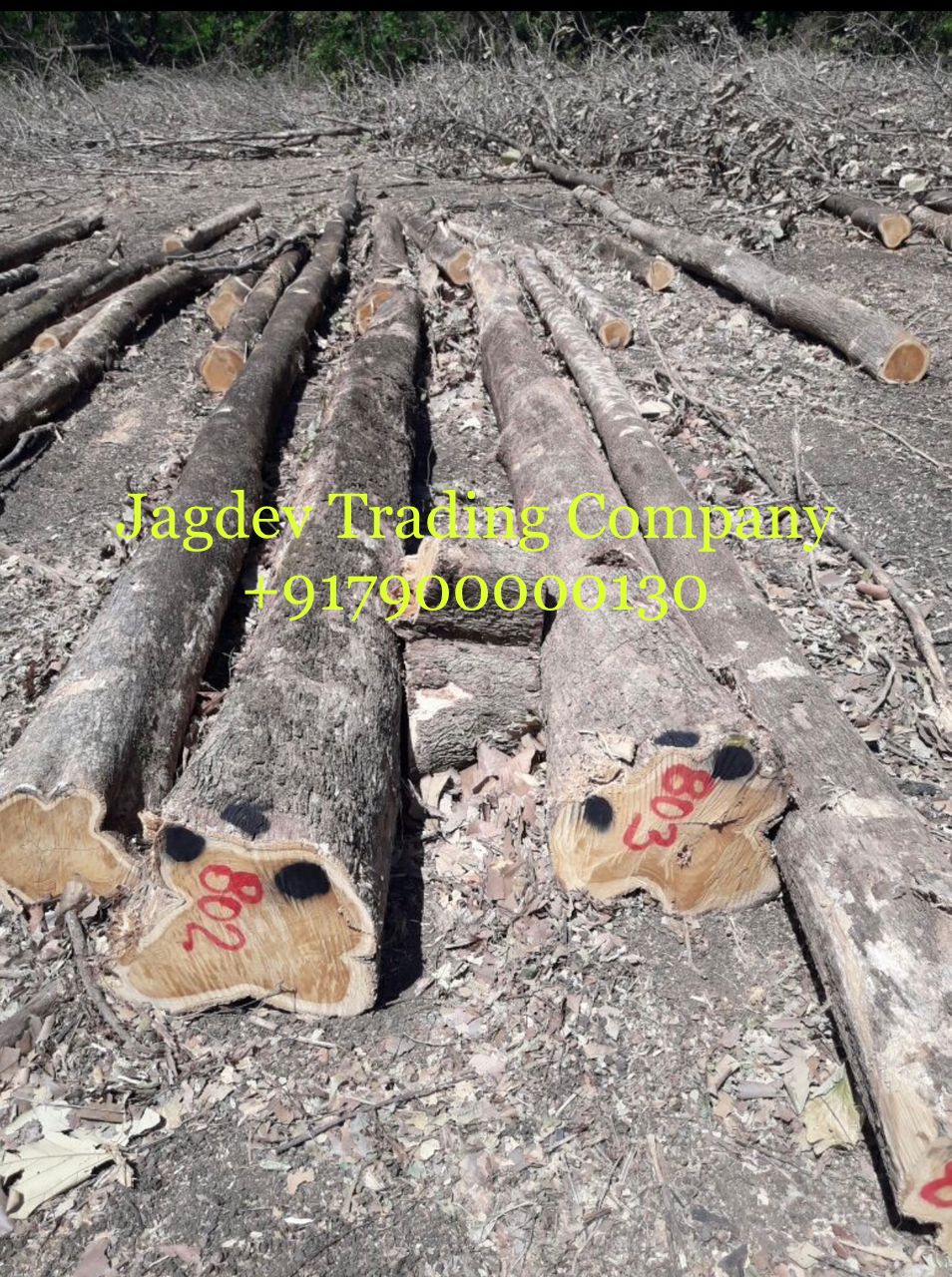 Jagdev Trading Company