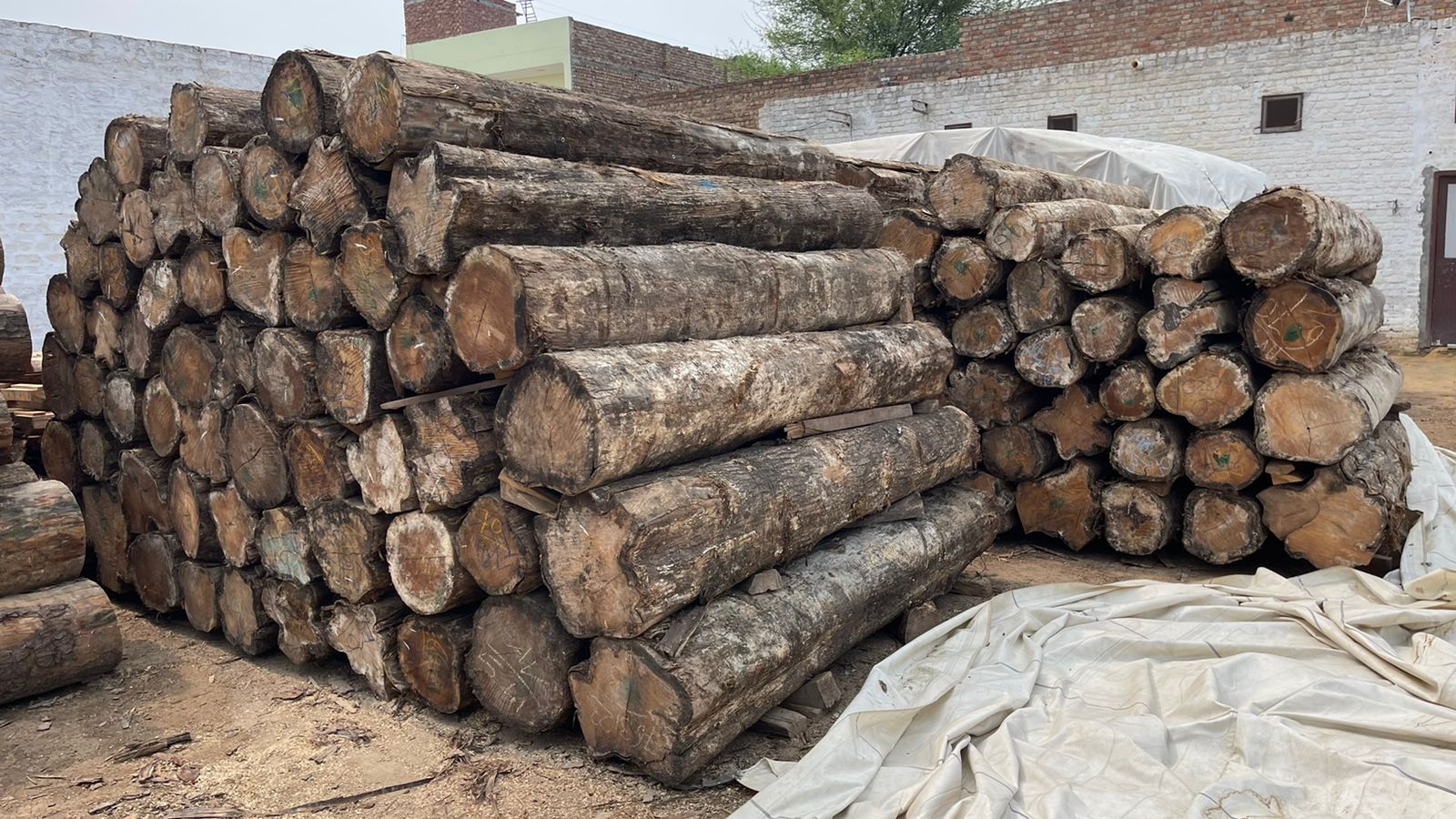 Jagdev Trading Company