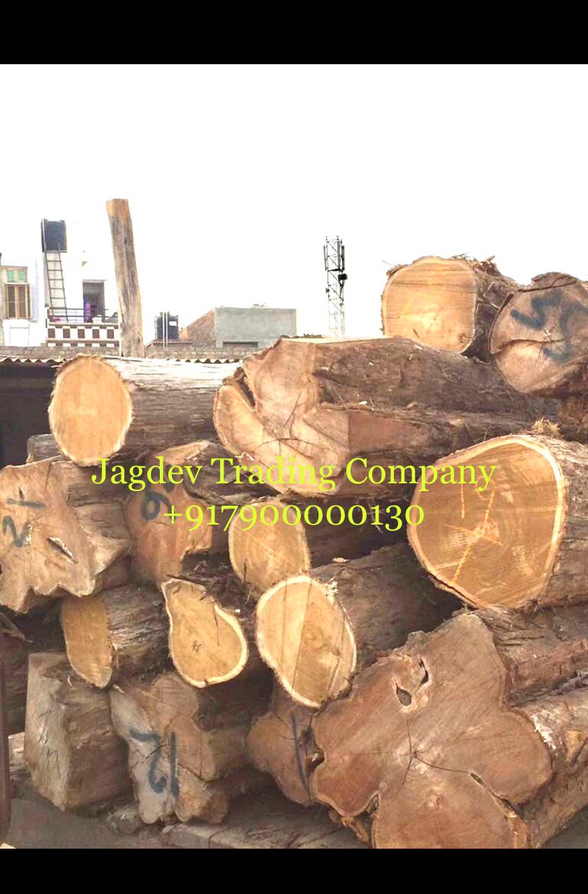 Jagdev Trading Company