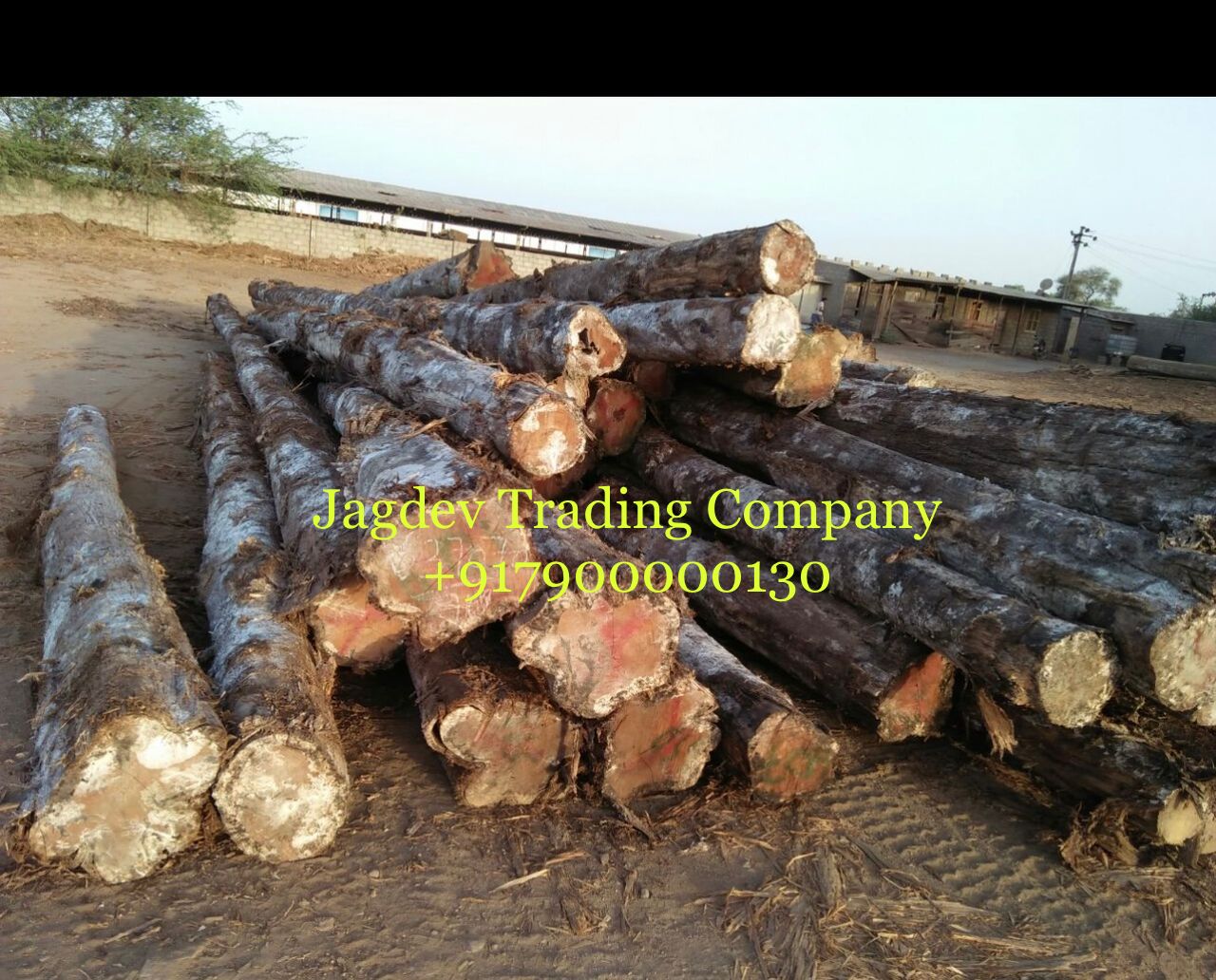 Jagdev Trading Company