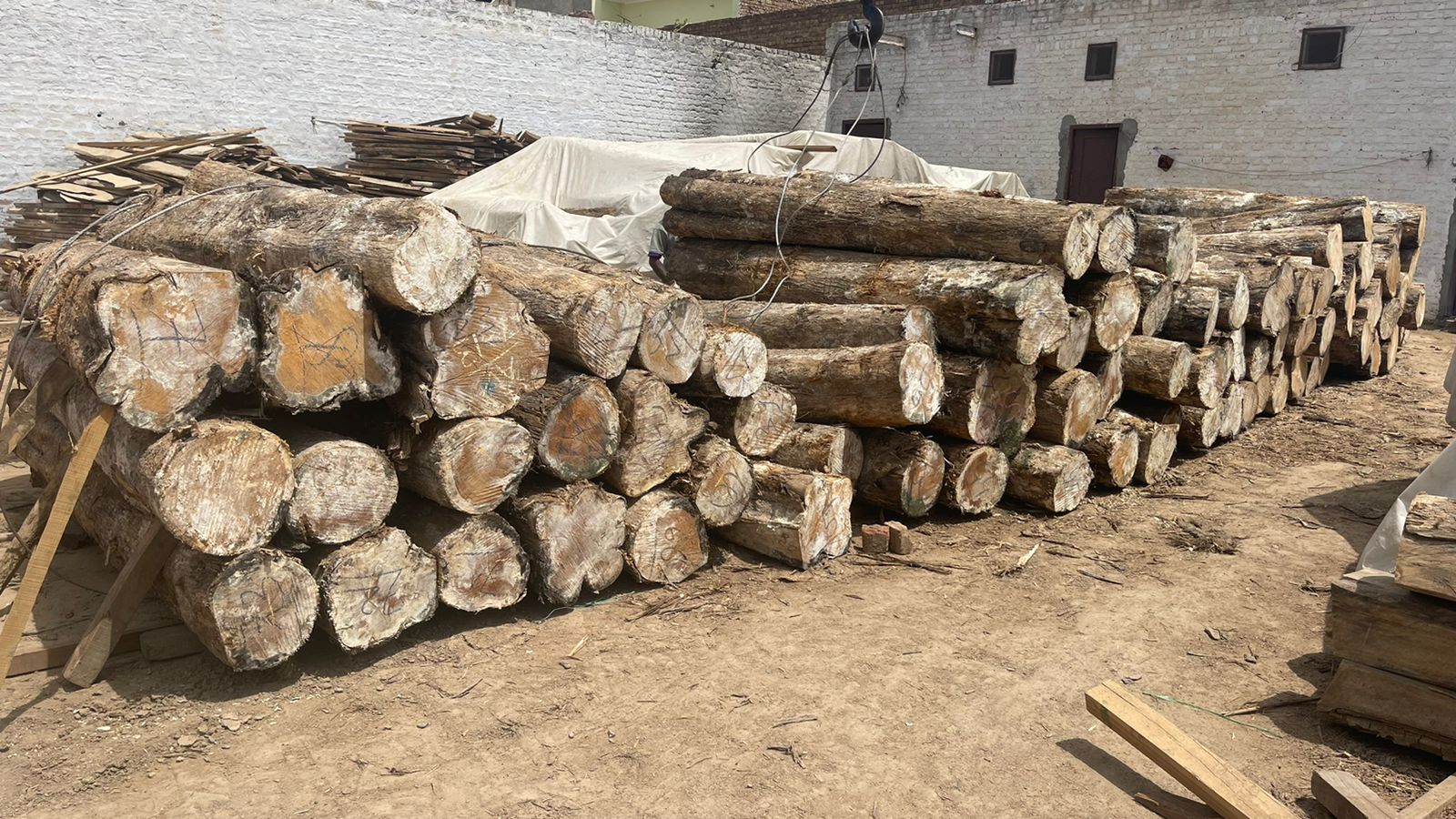 Jagdev Trading Company