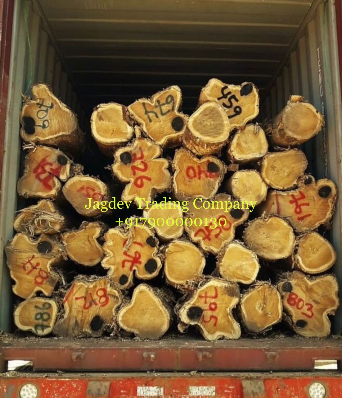 Jagdev Trading Company