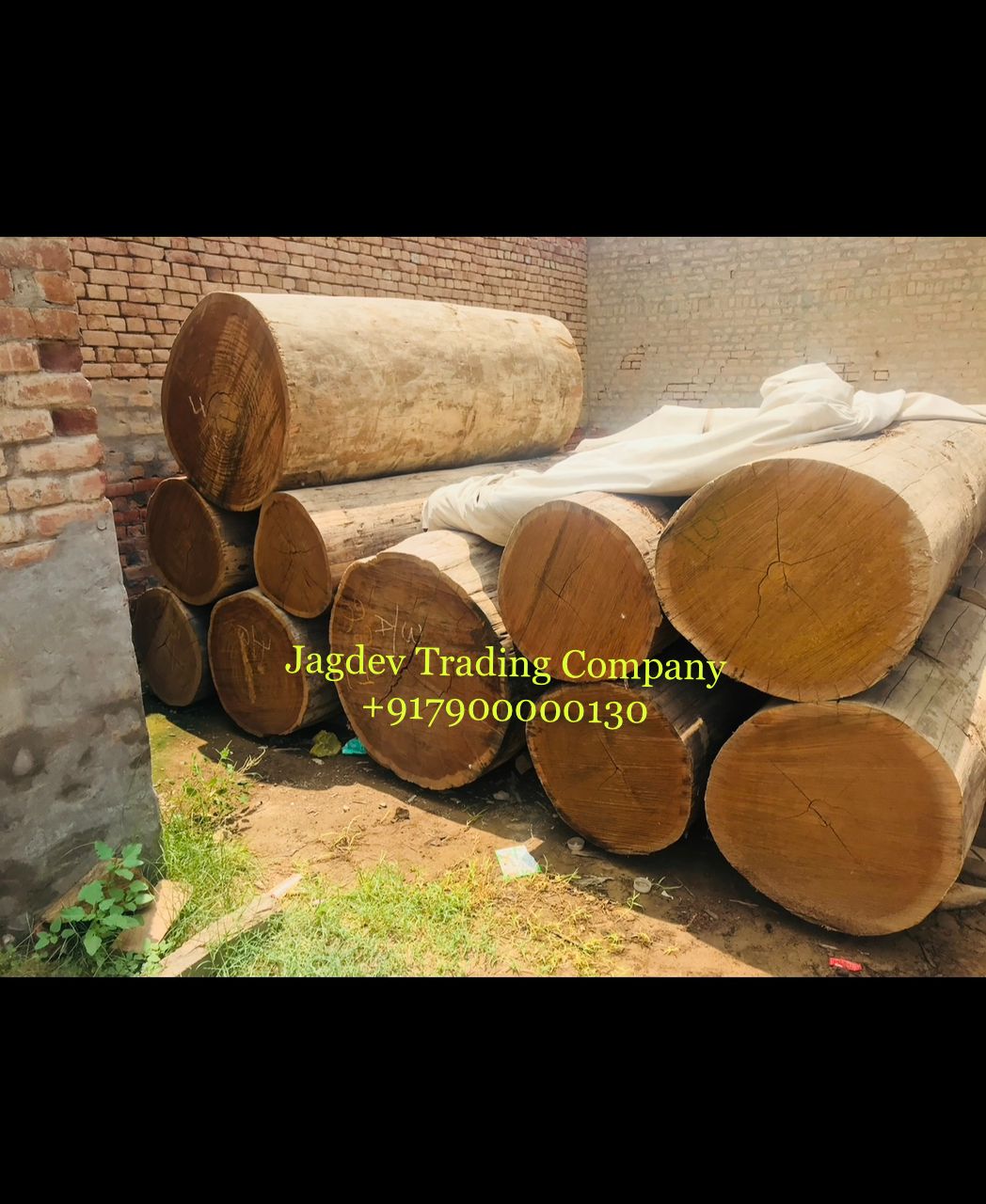 Jagdev Trading Company