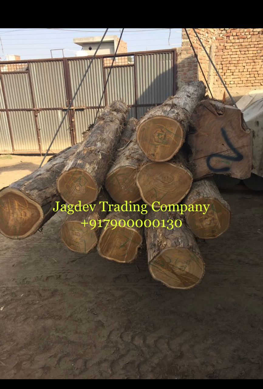 Jagdev Trading Company